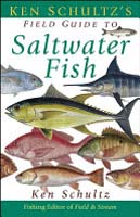 Field Guide to Saltwater Fish