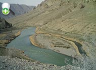 مرواریدماهی لب‌نازک