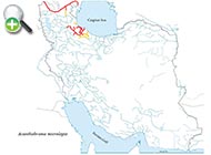 مرواریدماهی لب‌نازک