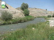 ماهی خیاطه کد