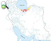ماهی خیاطه تبرستان