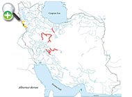 عروس‌ماهی دوریا