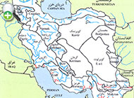گونه ماهی گورخری معمولی