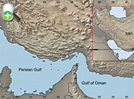 گونه گورماهی تیموری