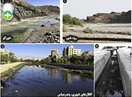 گونه گورماهی تیموری