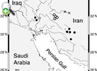گونه گورماهی فراتی