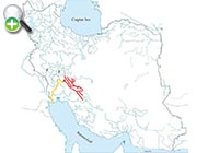 سس‌ماهی کارون