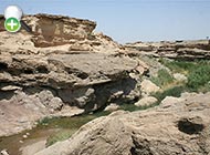 سس‌ماهی نمک