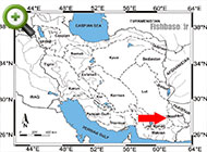 ماهی واسپی غربی