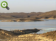 ماهی واسپی غربی