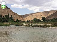 سیاه‌ماهی البرز