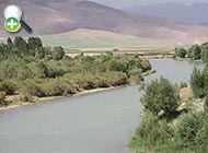 سیاه‌ماهی بیرونی