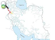 سیاه‌ماهی دجله