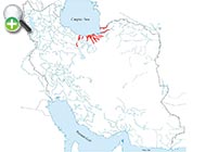 رفتگرماهی فریدپاک