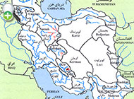 گونه گورماهی سوفیا