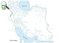 پراکنش ماهی گل‌چراغ زیبا 