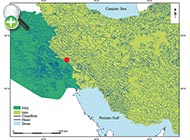 پراکنش ماهی سنگ‌لیس میمه 