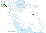 پراکنش ماهی گل‌چراغ لوت 