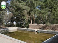 ماهی گل‌چراغ لوت