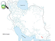 پراکنش ماهی گل‌چراغ شکم‌برهنه 