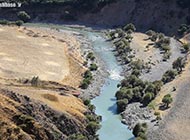 گربه‌ماهی سردشت