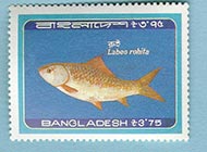 ماهی روهو