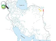 عروس‌ماهی هریرود