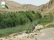 سس‌ماهی ترکستان
