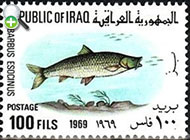 سه خاره نمای دریای آزوف (احتمالا فیکسه شده)، عکس از کیوانی