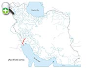 ماهی تیلاپیای آبی