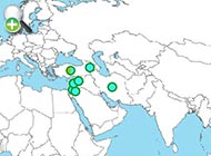 سگ‌ماهی آنگورا