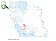 سگ‌ماهی پارسی