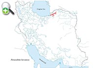 لوچ تاجدار هیرکانی