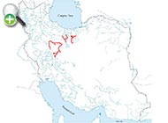 لوچ تاجدار غربی