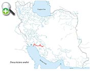 سگ‌ماهی آناهیتا