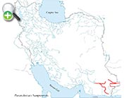 سگ‌ماهی بمپور