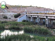 سگ‌ماهی دلواری
