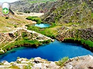 سگ‌ماهی ایلام