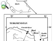 سگ‌ماهی ترکمان