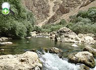 عروس‌ماهی زاینده‌رود