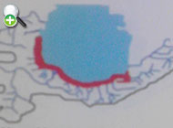گاوماهی سیرمان