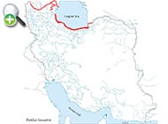 ماهی کلمه خزر