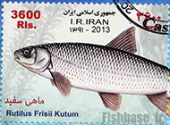 تمبر ایران با طرح ماهی سفید