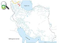 رفتگرماهی طلایی