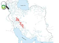 ماهی لوچ کوتوله حافظ