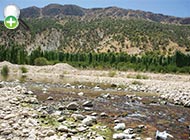 ماهی لوچ کوتوله سعدی