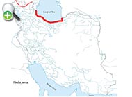 سیاه‌کولی ایرانی