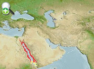طوطی‌ماهی دورنگ