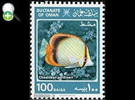پروانه‌ماهی گاردینر