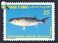 کفال خال‌آبی